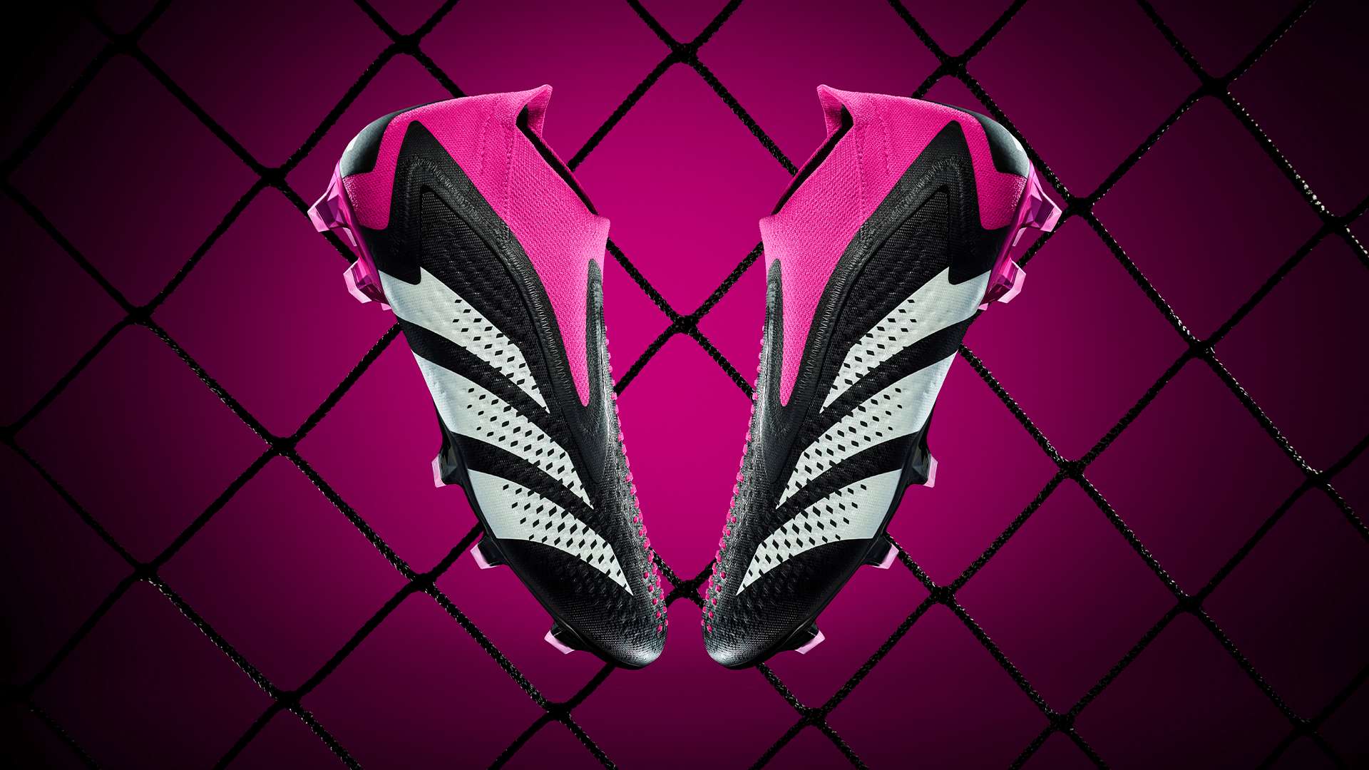 与阿尔克马 与阿尔克马