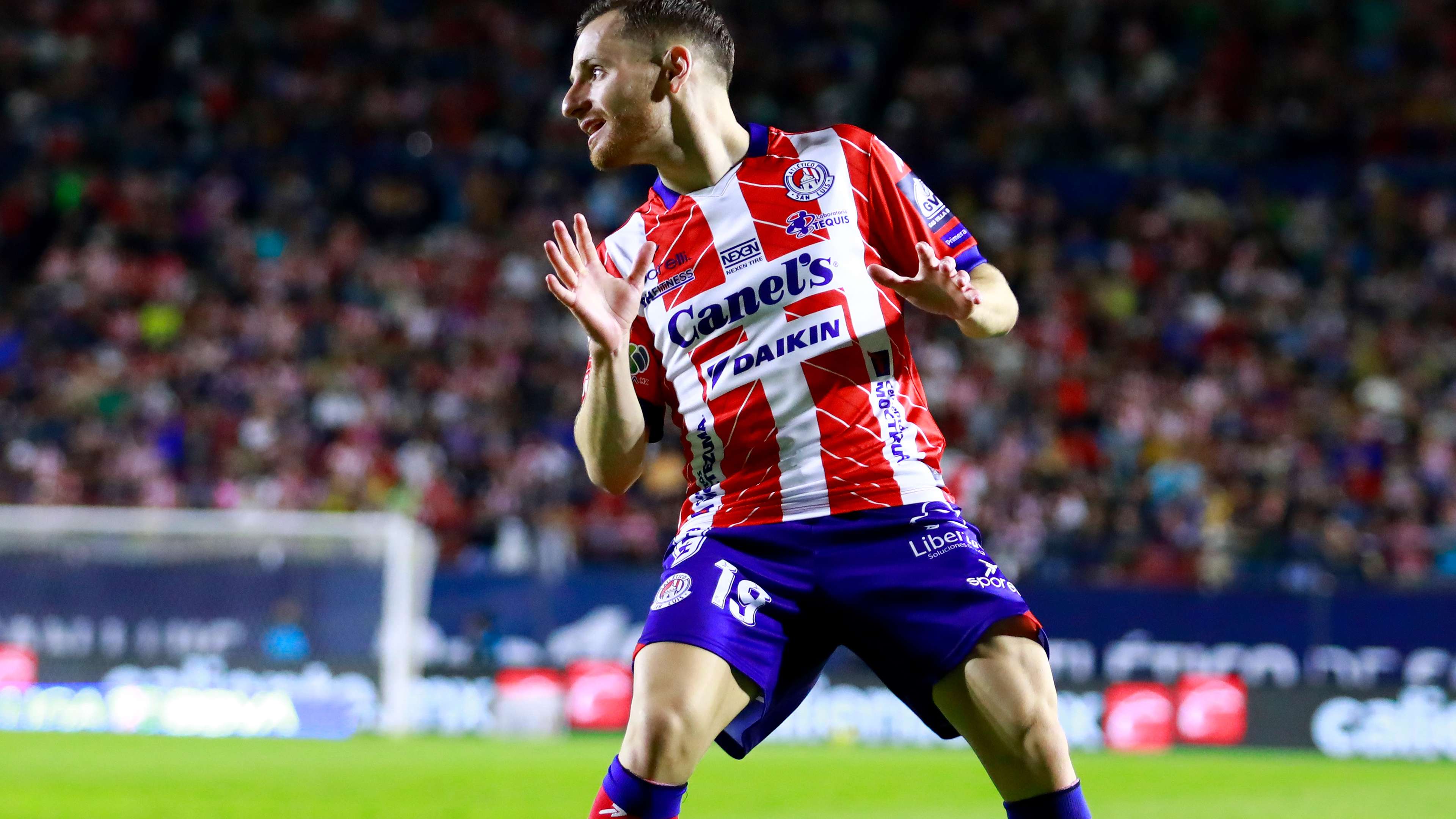 在未来的比 在未来的比